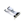 30CM Parallel & Serial Port Motherboard Header