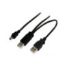 USB 2.0 Y Splitter Cable - Type A M to Mini B 5 pins 1m + USB Type A M