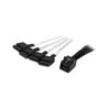 StarTech 1m Internal Mini SAS to SATA Cable - SFF-8643 to 4x SATA