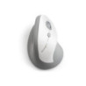 Kensington Pro Fit Ergo Vertical Wireless Mouse - Grey