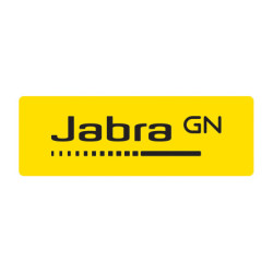 Jabra Pro9400 Series Large Leatherette Ear Cushions (14101-59)