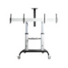 Dual TV Cart - 37-60in TVs - Height Ajs