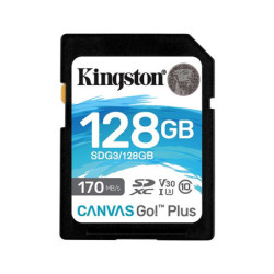 128GB SDXC CANVAS GO PLUS 170R