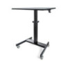 Mobile Standing Desk - Sit-Stand Cart