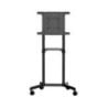 Mobile TV Cart/Stand 37-70in VESA Mount